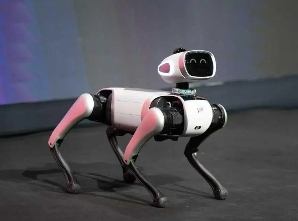 新玩家豪言拿下六成市场，万元机器狗凭什么挑战行业巨头？(图2)