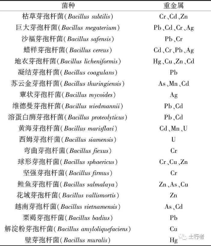 芽孢杆菌在重金属污染土壤修复中的研究进展(图1)