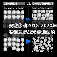 安徽移动基站铠装野战光缆选型中标名单公布(图2)