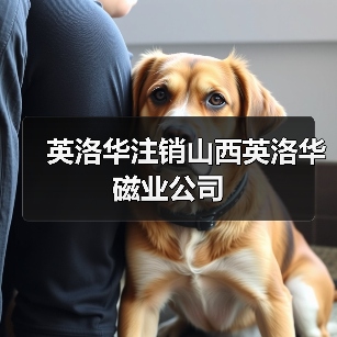 英洛华科技股份有限公司注销山西英洛华子公司(图4)