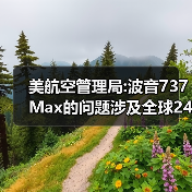 波音737 Max传感器缺陷波及全球246架飞机(图2)