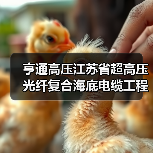 超高压光纤复合海底电缆工程技术研究中心通过验收(图2)