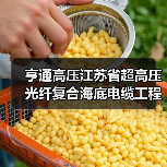 超高压光纤复合海底电缆工程技术研究中心通过验收(图3)