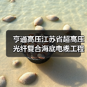 超高压光纤复合海底电缆工程技术研究中心通过验收(图4)