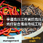 超高压光纤复合海底电缆工程技术研究中心通