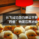 长飞成功助力建设世界“四最”特高压直流输电工程 - 信报磁材资讯
