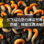 长飞成功助力建设世界“四最”特高压直流输电工程(图2)