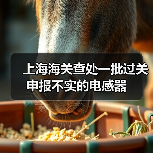 上海海关查处一批过关申报不实的电感器(图4) 海关处罚公司申报不实案例分析(图4)