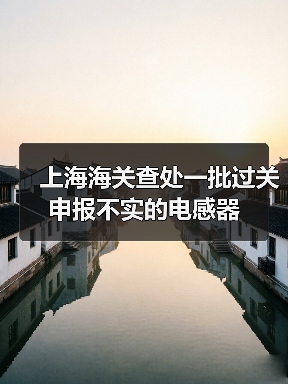 上海海关查处一批过关申报不实的电感器(图3) 海关处罚公司申报不实案例分析(图3)