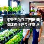 铭普光磁抚州建全资子公司 专注电源电感变压器生产(图4)