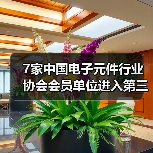 制造业单项冠军企业名单及电子元件行业产品公示(图3)