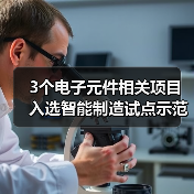 3个电子元件相关项目入选智能制造试点示范项目(图3)