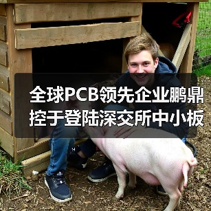 全球PCB领先企业鹏鼎控于登陆深交所中小板上市(图4) 全球PCB领先企业鹏鼎控于登陆深交所中小板上市(图4)