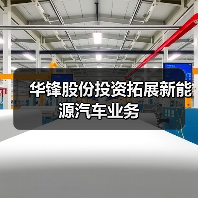 华锋股份投资拓展新能源汽车业务(图4)
