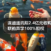 瀛通通讯拟2.4亿元收购联韵声学100%股权(图3) 瀛通通讯拟2.4亿元收购联韵声学100%股权(图3)