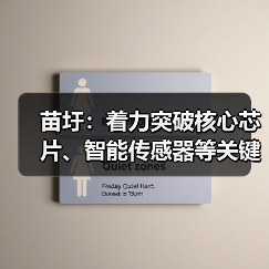 苗圩:着力突破核心芯片、智能传感器等关键技术(图4) 苗圩:着力突破核心芯片、智能传感器等关键技术(图4)