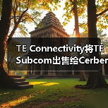 TE Connectivity将TE Subcom出售给Cerberus Capital Management(图4) TE Connectivity将TE Subcom出售给Cerberus Capital Management(图4)