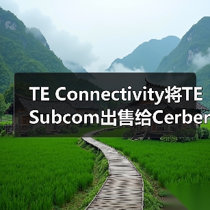 TE Connectivity将TE Subcom出售给Cerberus Capital Management(图1) TE Connectivity将TE Subcom出售给Cerberus Capital Management(图1)