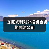 东阳光科对外投资合资化成箔公司(图2)