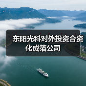 东阳光科对外投资合资化成箔公司(图3)