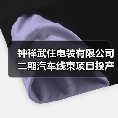 钟祥武住电装二期项目投产，汽车电源线束助力东风本田产能提升(图4)