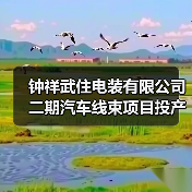 钟祥武住电装二期项目投产，汽车电源线束助力东风本田产能提升(图3)