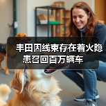 丰田因线束存在着火隐患召回百万辆车(图2) 丰田因线束存在着火隐患召回百万辆车(图2)