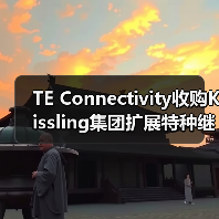 TE Connectivity收购Kissling集团扩展特种继电器产品组合(图3)