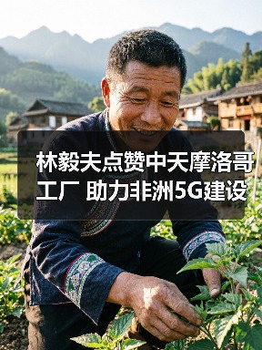 林毅夫点赞中天摩洛哥工厂 助力非洲5G建设(图4) 林毅夫点赞中天摩洛哥工厂 助力非洲5G建设(图4)