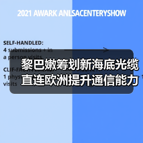 黎巴嫩筹划新海底光缆 直连欧洲提升通信能力(图4) 黎巴嫩筹划新海底光缆 直连欧洲提升通信能力(图4)