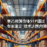 苯乙烯弹性体SEP通过专家鉴定 技术达国