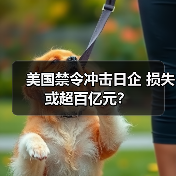 美国禁令冲击日企 损失或超百亿元?(图3) 美国禁令冲击日企 损失或超百亿元?(图3)