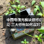 中国电信光模块招标启动 三大标包如何应对?(图2) 中国电信光模块招标启动 三大标包如何应对?(图2)