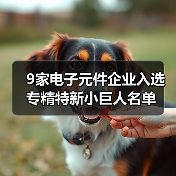 9家电子元件企业入选专精特新小巨人名单(图3) 9家电子元件企业入选专精特新小巨人名单(图3)
