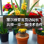 塞尔维亚官员访问长飞 共探一带一路技术合
