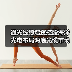 通光线缆增资控股海洋光电布局海底光缆市场(图4) 通光线缆增资控股海洋光电布局海底光缆市场(图4)