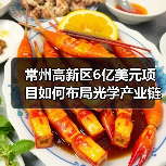 常州高新区6亿美元项目如何布局光学产业链？(图2)