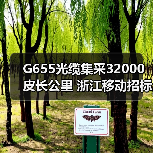 G655光缆集采32000皮长公里 浙江移动招标规模揭秘(图4)