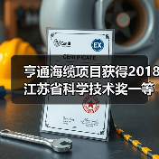 亨通海缆项目获得2018江苏省科学技术奖一等奖(图4) 亨通海缆项目获得2018江苏省科学技术奖一等奖(图4)