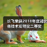 长飞荣获2018年度湖北省技术发明奖二等