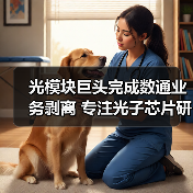 光模块巨头完成数通业务剥离 专注光子芯片研发(图4) 光模块巨头完成数通业务剥离 专注光子芯片研发(图4)
