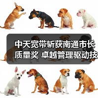 中天宽带斩获南通市长质量奖 卓越管理驱动技术突破 - 玄熵磁材资讯