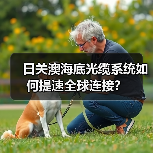 日关澳海底光缆系统如何提速全球连接?(图4) 日关澳海底光缆系统如何提速全球连接?(图4)