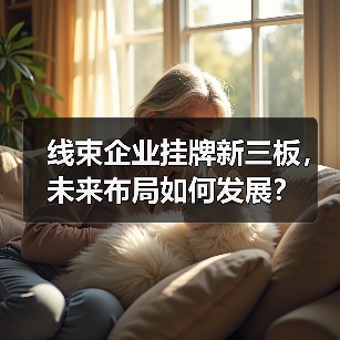 线束企业挂牌新三板,未来布局如何发展?(图4) 线束企业挂牌新三板,未来布局如何发展?(图4)