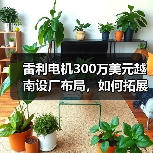 雷利电机300万美元越南设厂布局,如何拓展海外业务?(图4) 雷利电机300万美元越南设厂布局,如何拓展海外业务?(图4)