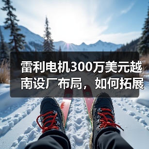 雷利电机300万美元越南设厂布局,如何拓展海外业务?(图2) 雷利电机300万美元越南设厂布局,如何拓展海外业务?(图2)