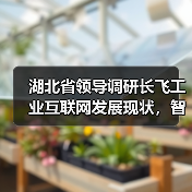 湖北省领导调研长飞工业互联网发展现状，智