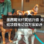 墨西哥光纤网络升级 光缆项目推动百万家庭