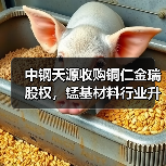 中钢天源收购铜仁金瑞股权,锰基材料行业升级路径揭秘(图4) 中钢天源收购铜仁金瑞股权,锰基材料行业升级路径揭秘(图4)