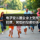 电子变压器企业上交所挂牌,背后的投资价值何在?(图2) 电子变压器企业上交所挂牌,背后的投资价值何在?(图2)